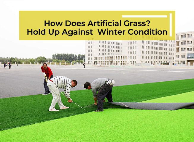 How Does Artificial Grass Hold Up Against  Winter Conditions?
