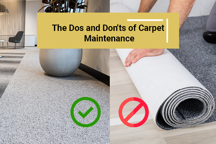 Carpet Maintenance